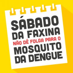 O cuidado com a dengue deve começar antes das chuvas de verão 